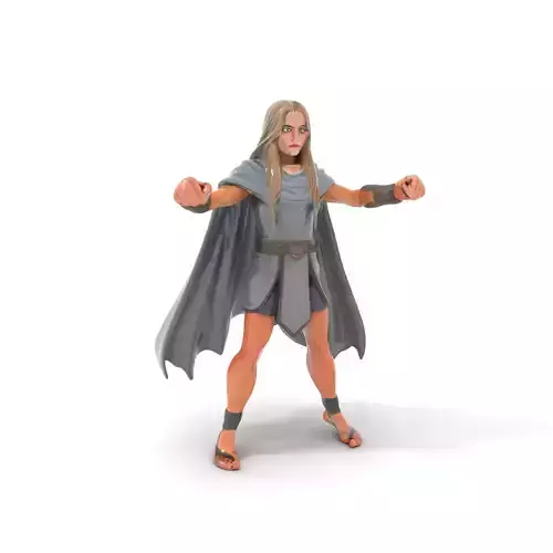 Mystic Warrior Character Model Rigged and Animated Low-poly 3D model
