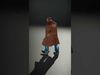 Bald Strongman in Trench Coat Rigged and Animated D Model Low-poly 3D model_2