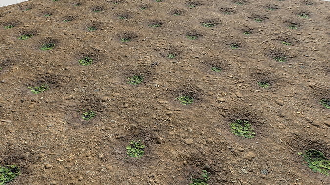 Farm Terrain Textures Pack 2 Texture