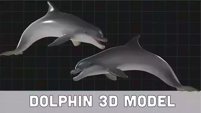 Dolphin Stylized Aquatic Animal