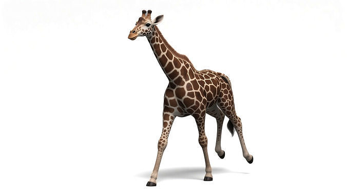 Rigged Giraffe with 4k textures and animations 3D model