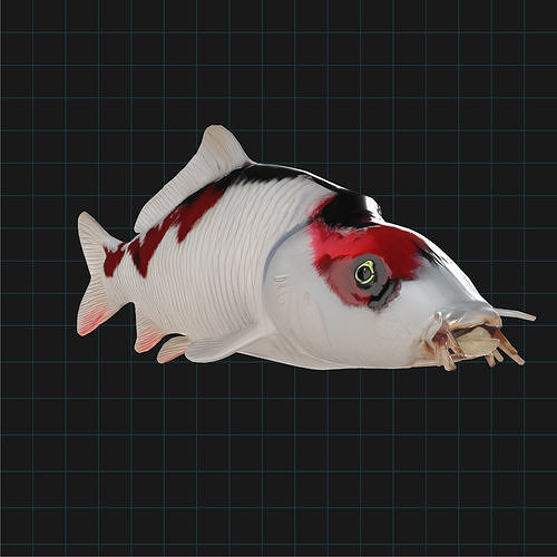 Realistic Koi Fish  Low-poly 3D model