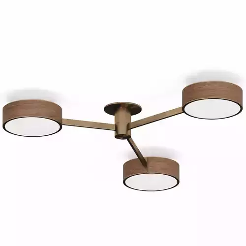 Allied Maker Monoscope Ceiling Lamp