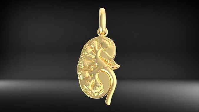Transplant Gift  Kidney Pendant Charm Necklace Jewelry 3D print model