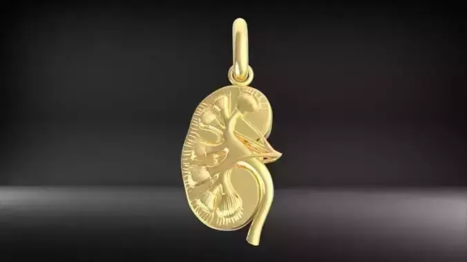 Transplant Gift  Kidney Pendant Charm Necklace Jewelry 3D print model