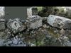 Abandoned House Ruined Part Scan - Fallen Wall Parts 3D model_1