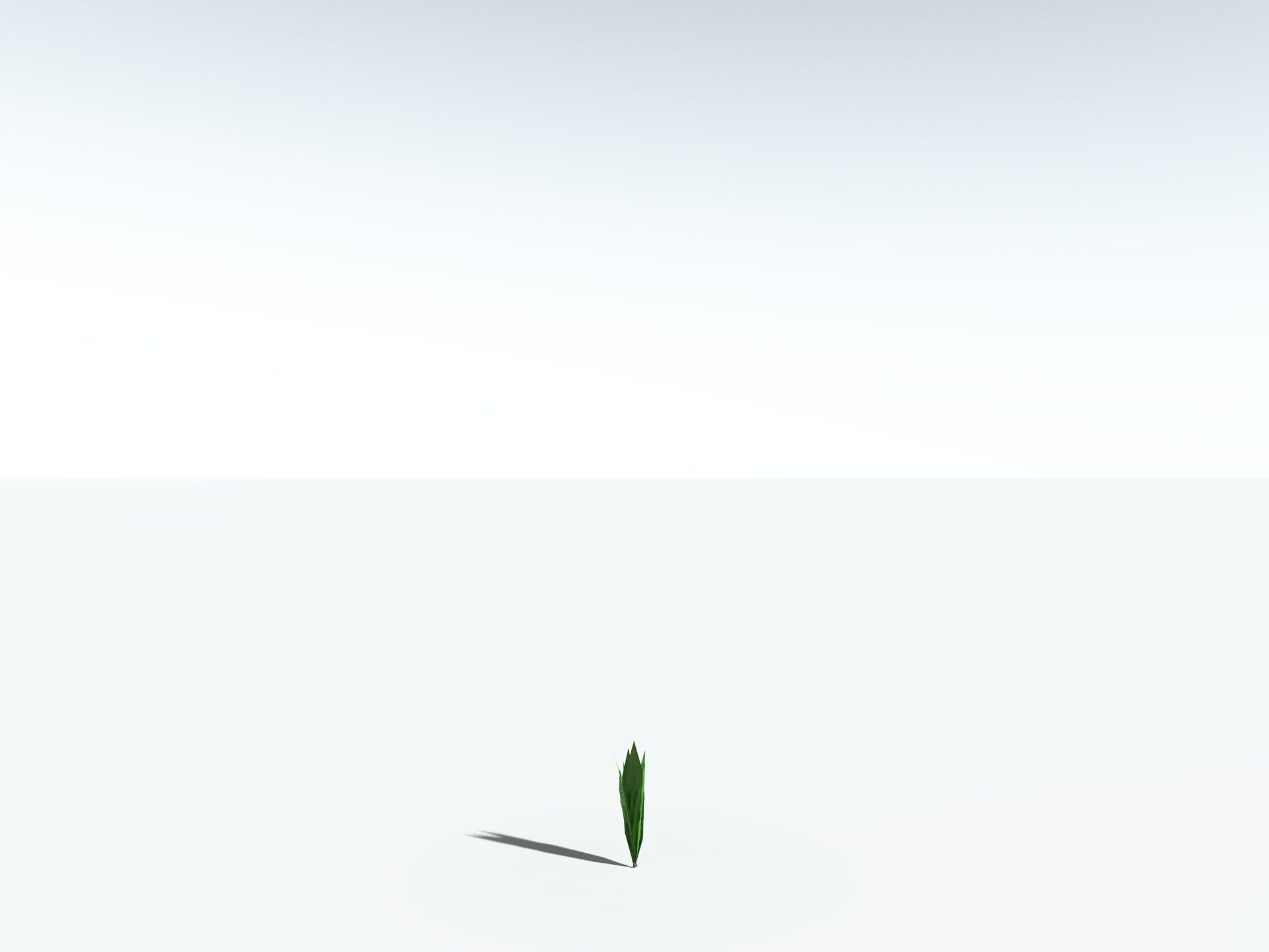 EVERYPlant Sifillaria Densifolia LowPoly Low-poly 3D model_31