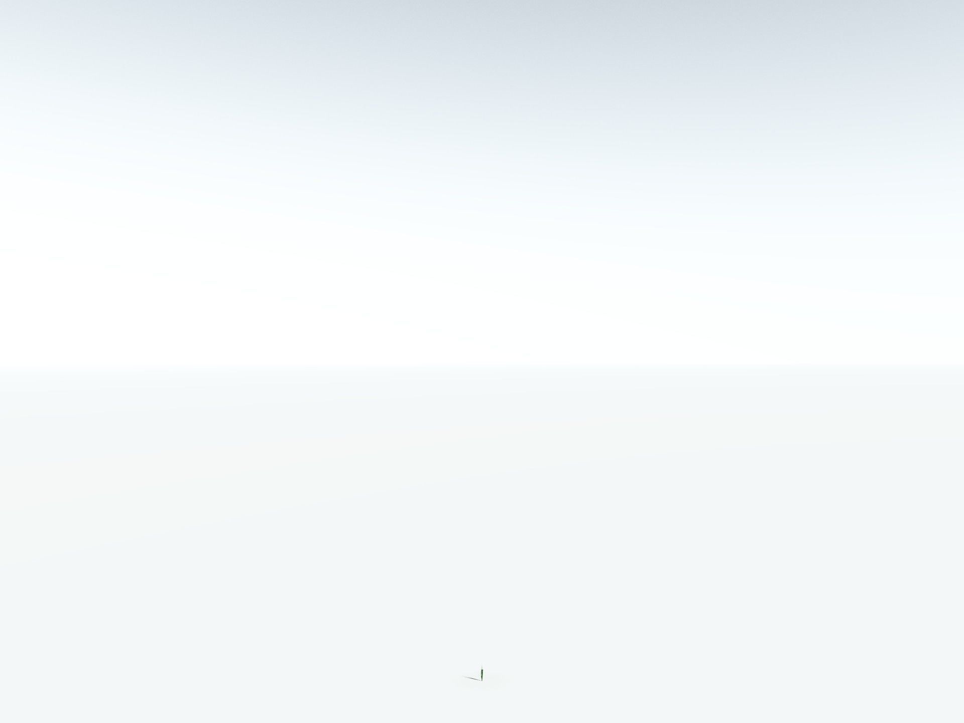 EVERYPlant Sifillaria Densifolia LowPoly Low-poly 3D model_30