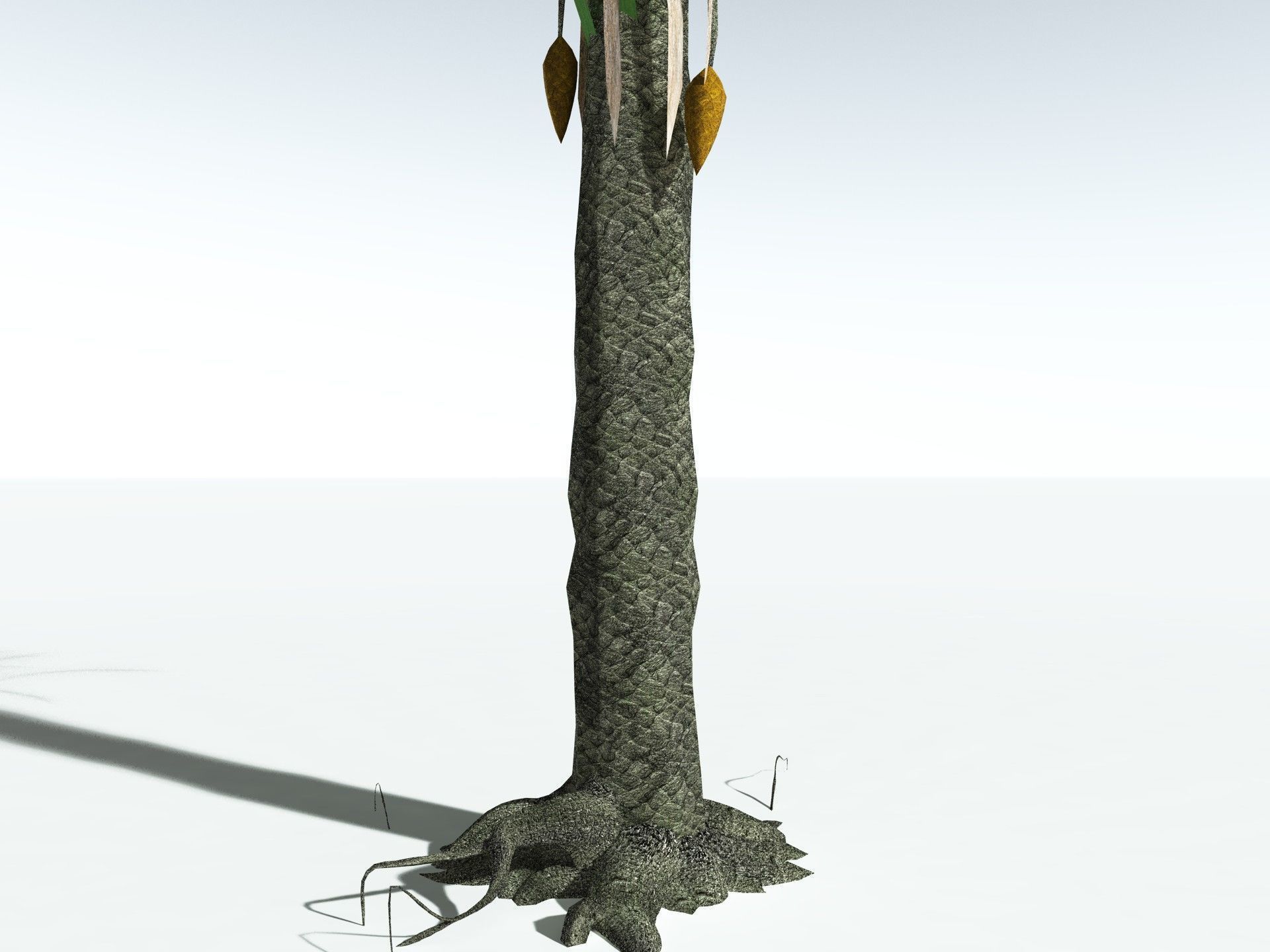 EVERYPlant Sifillaria Densifolia LowPoly Low-poly 3D model_23