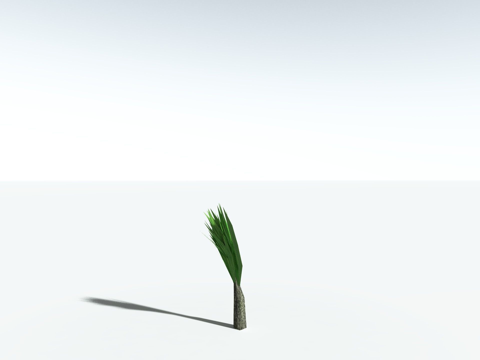 EVERYPlant Sifillaria Densifolia LowPoly Low-poly 3D model_27