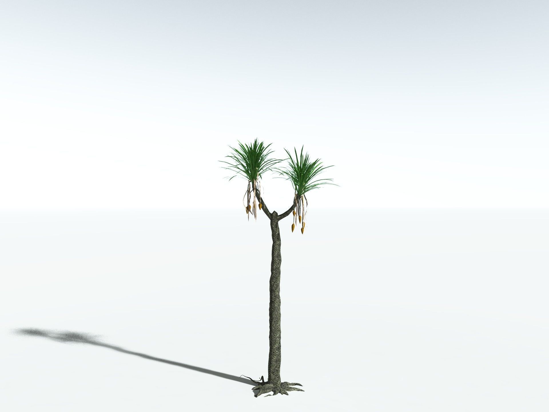 EVERYPlant Sifillaria Densifolia LowPoly Low-poly 3D model_10