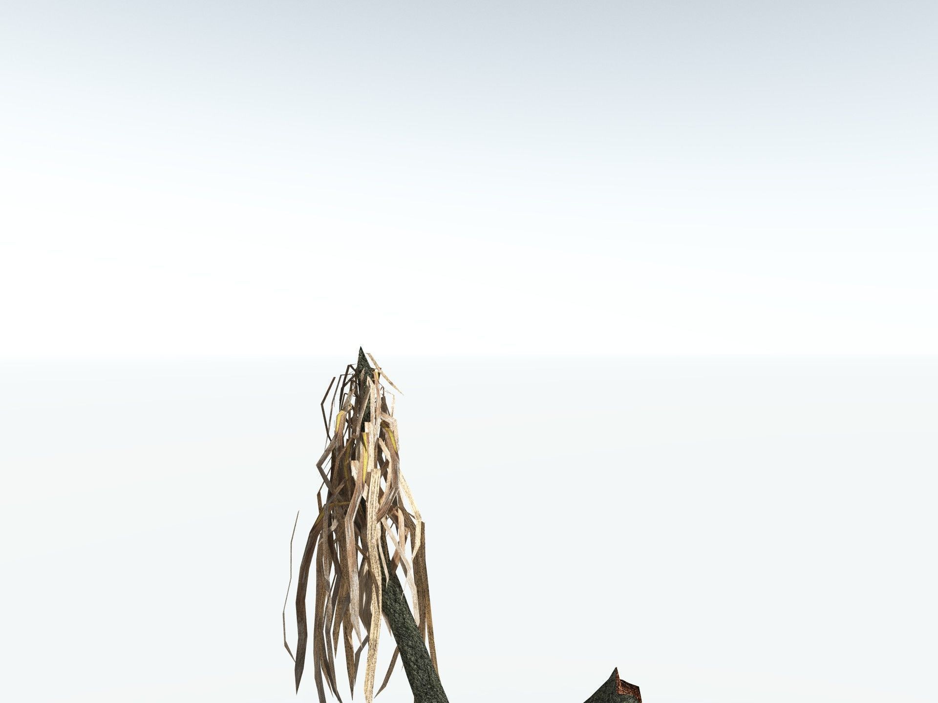 EVERYPlant Sifillaria Densifolia LowPoly Low-poly 3D model_19