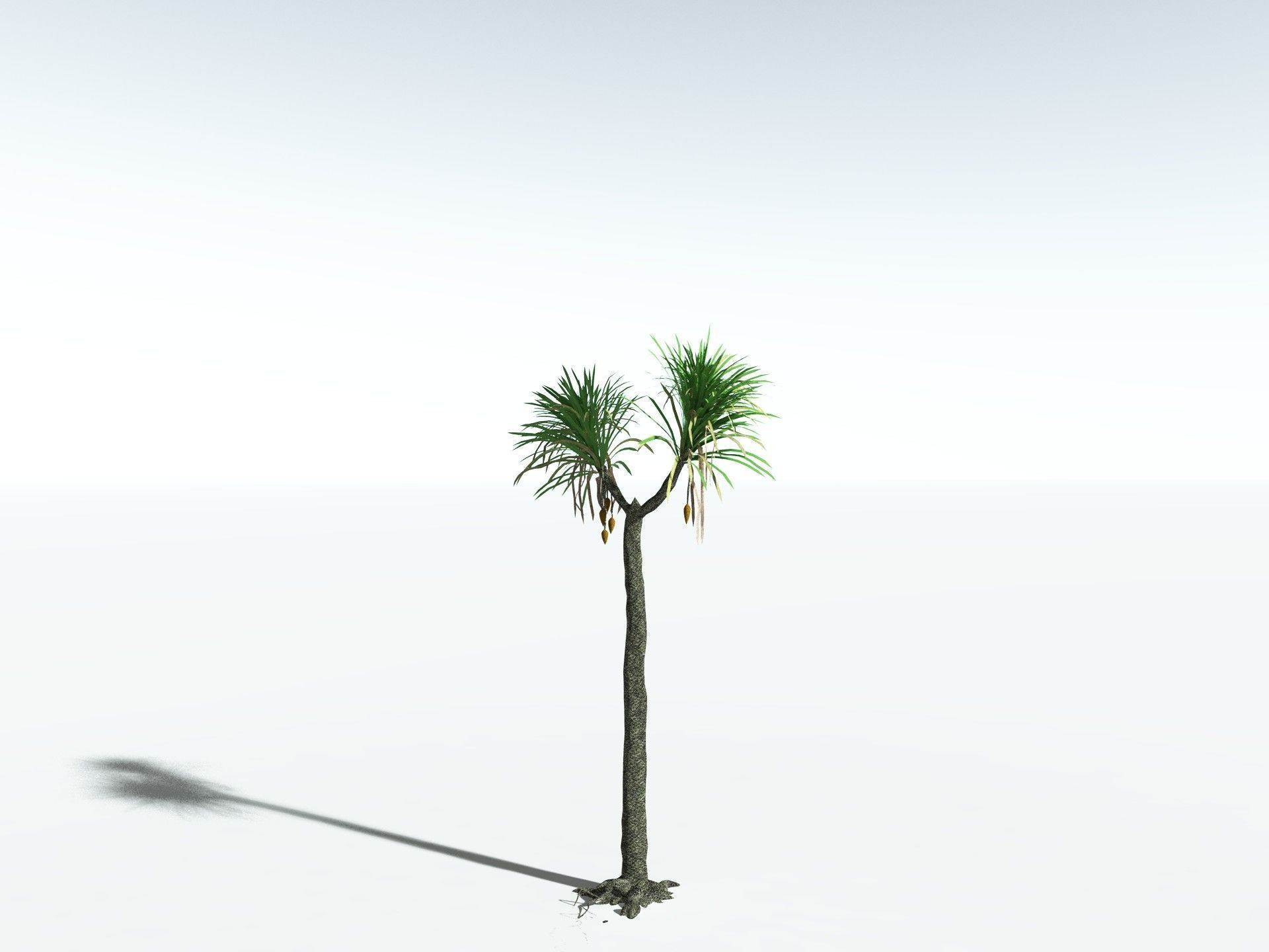 EVERYPlant Sifillaria Densifolia LowPoly Low-poly 3D model_12