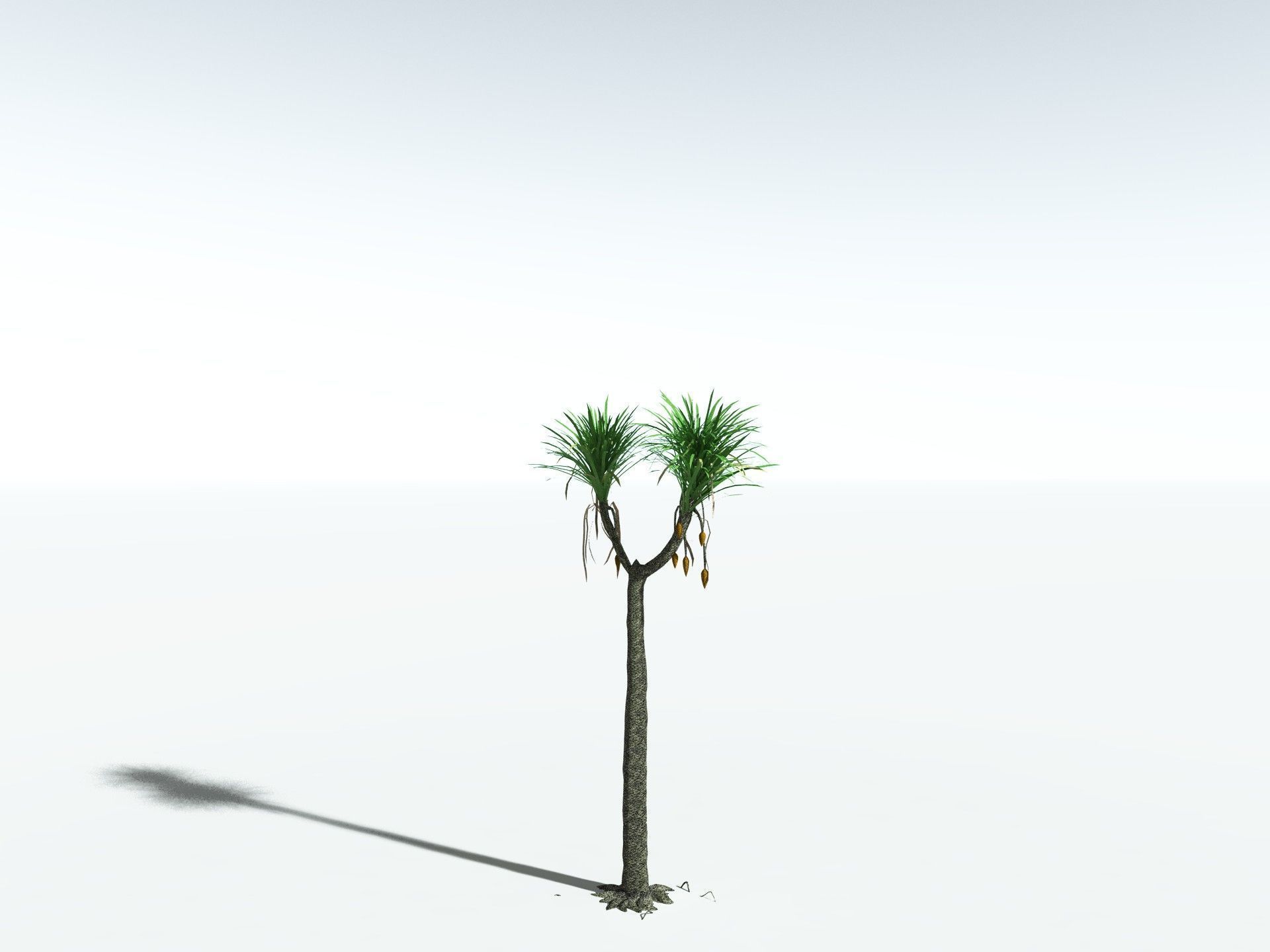EVERYPlant Sifillaria Densifolia LowPoly Low-poly 3D model_8