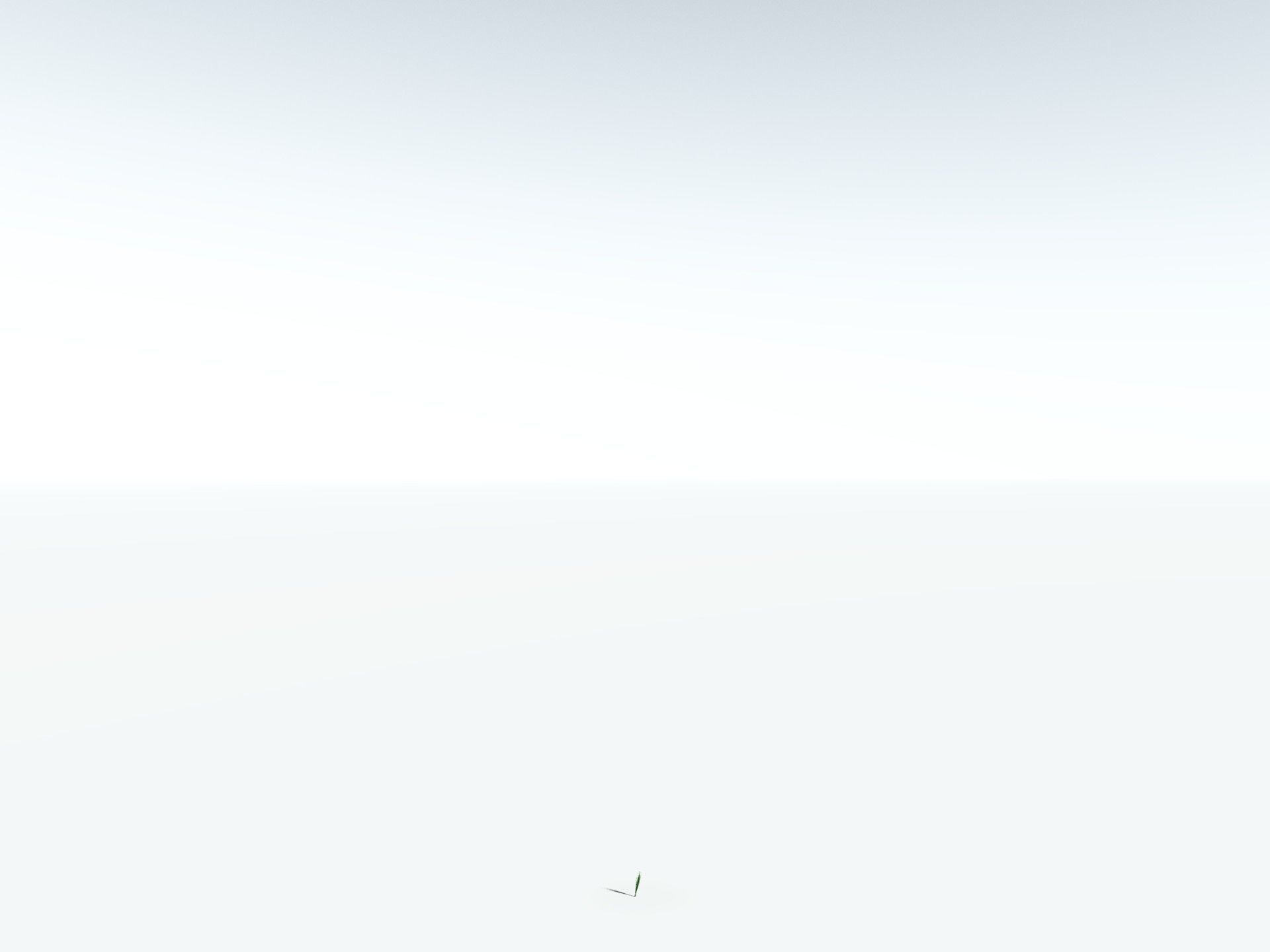 EVERYPlant Sifillaria Densifolia LowPoly Low-poly 3D model_28