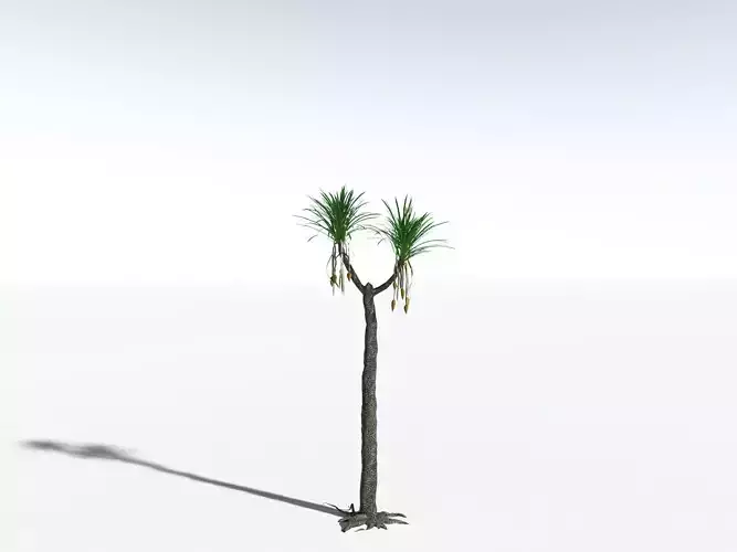 EVERYPlant Sifillaria Densifolia LowPoly Low-poly 3D model