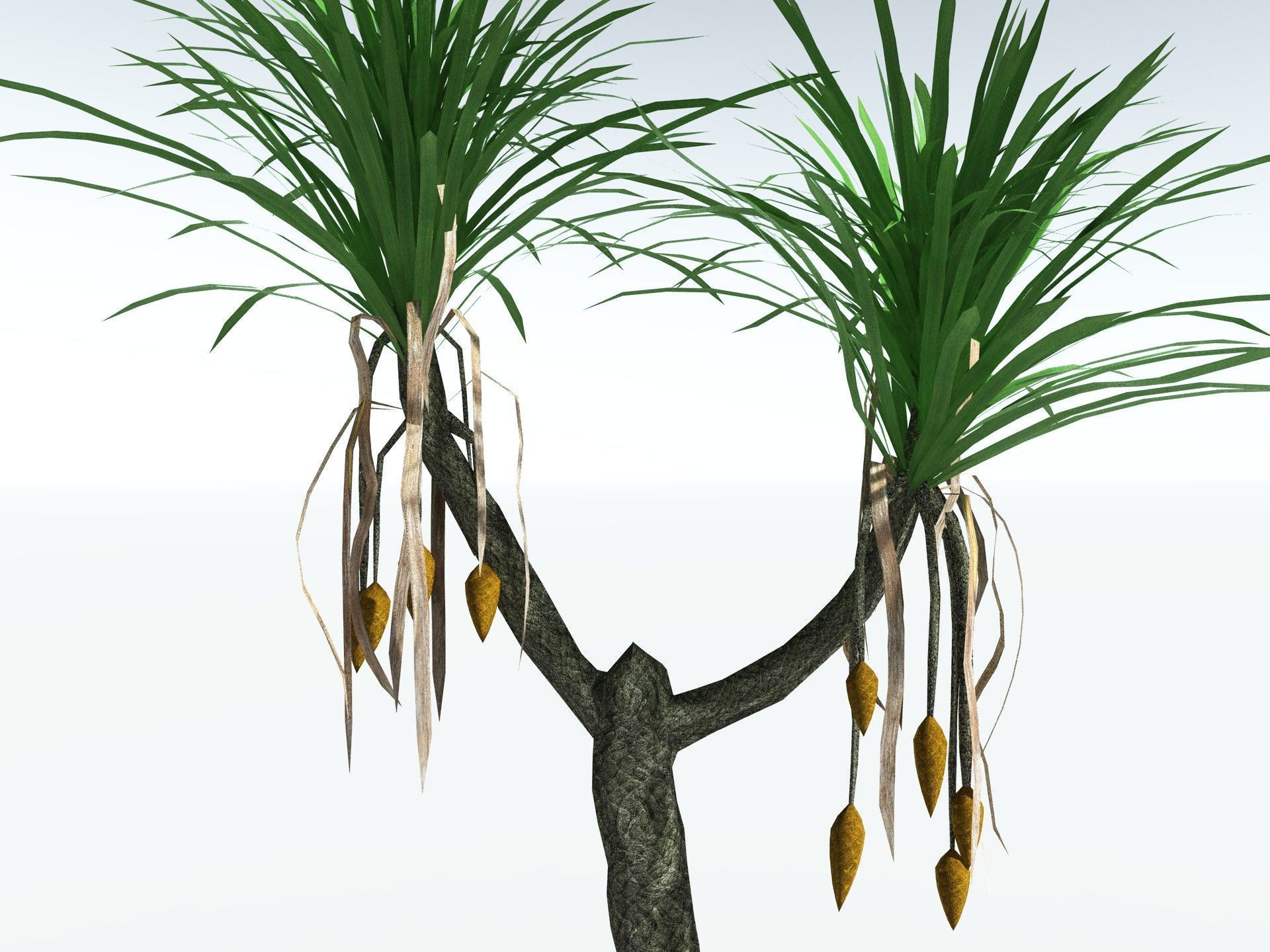 EVERYPlant Sifillaria Densifolia LowPoly Low-poly 3D model_11