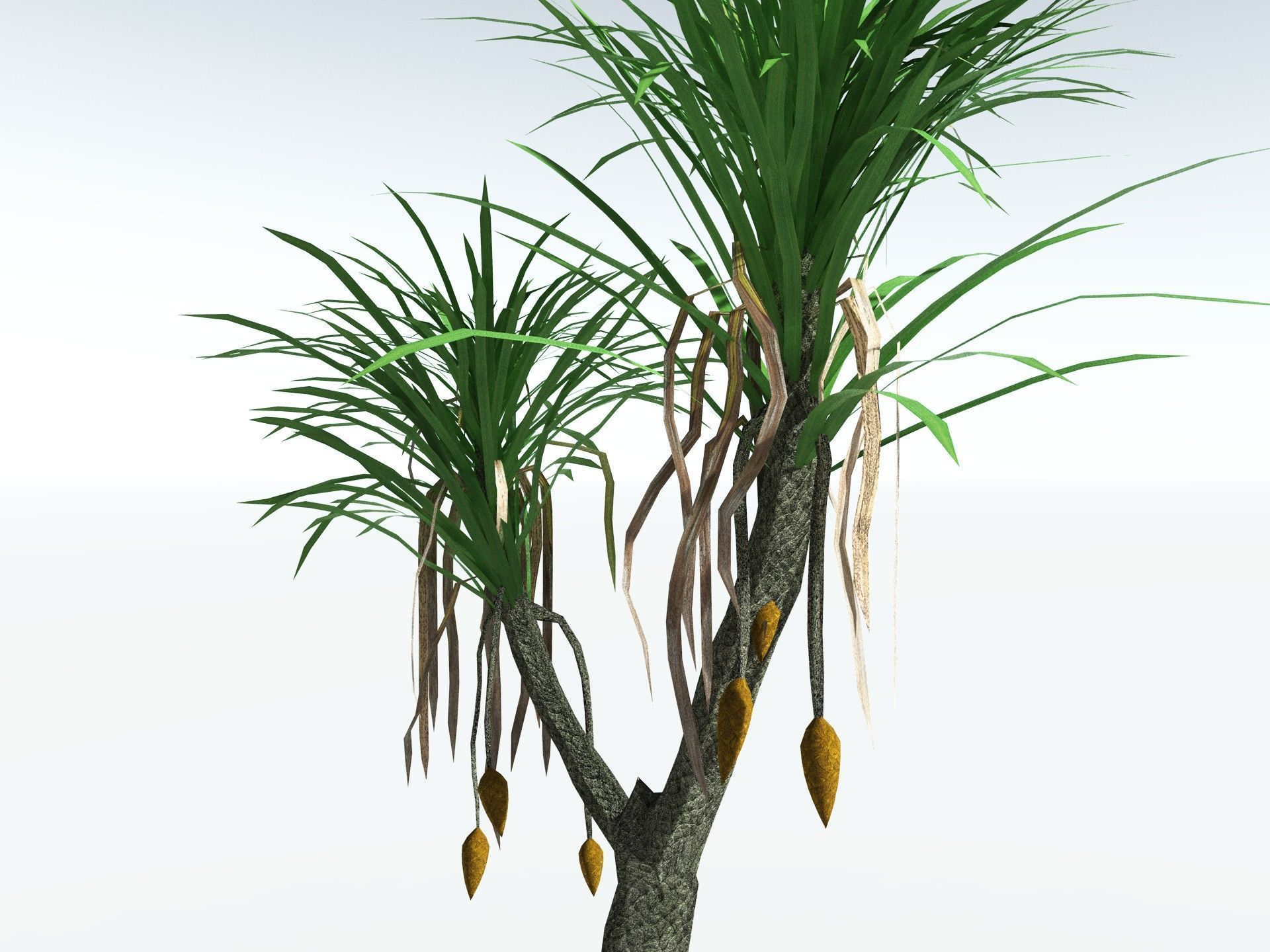 EVERYPlant Sifillaria Densifolia LowPoly Low-poly 3D model_7