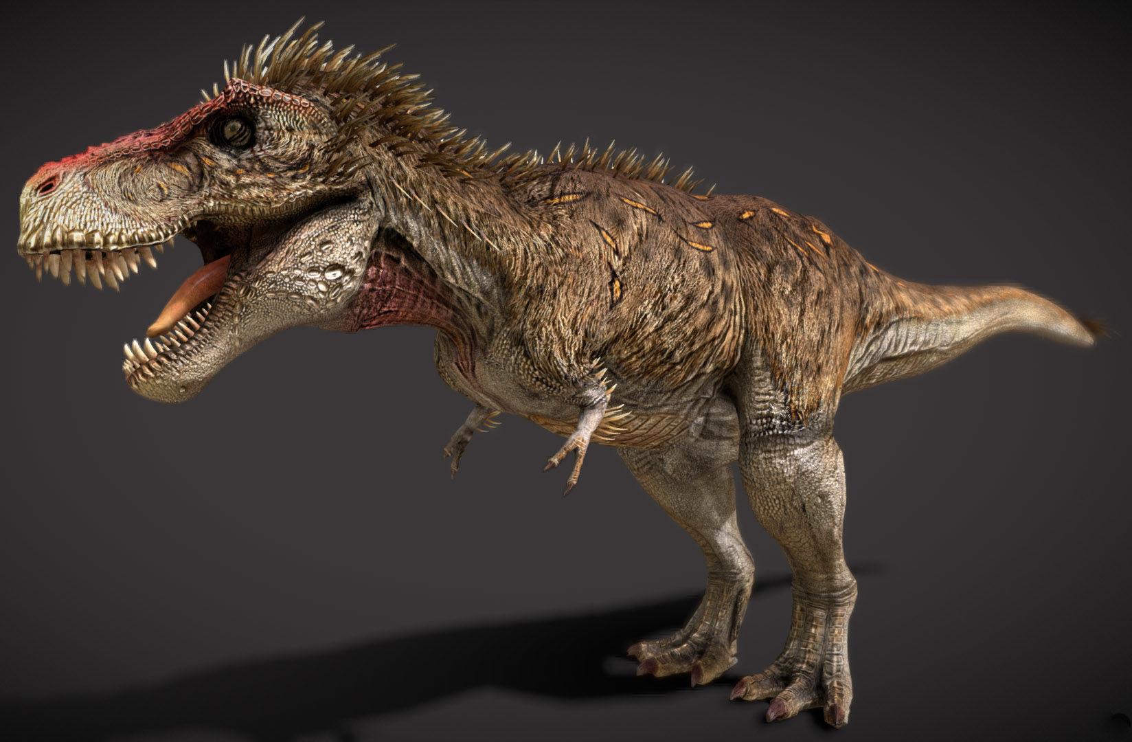 Tyrannosaurus rex Embercrest Variant Low-poly 3D model_2