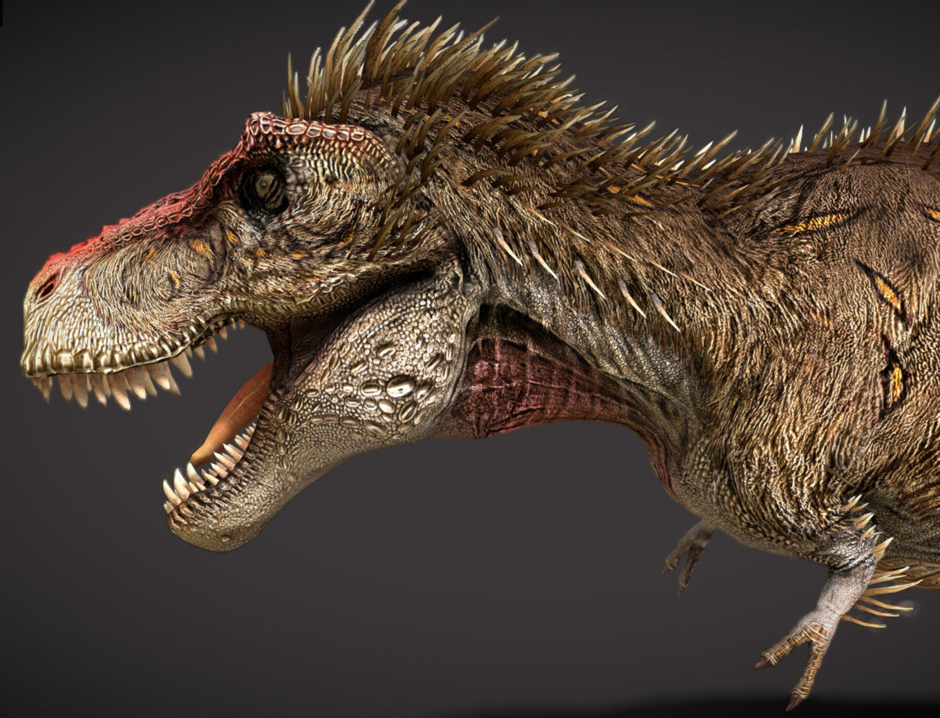 Tyrannosaurus rex Embercrest Variant Low-poly 3D model_4