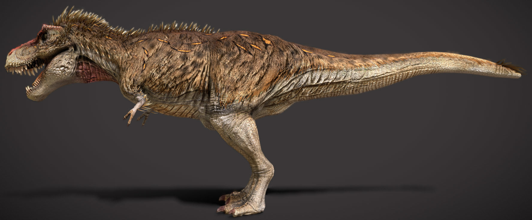 Tyrannosaurus rex Embercrest Variant Low-poly 3D model_5