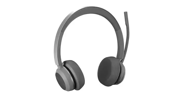 On-Ear Stereo Headphones with Microphone