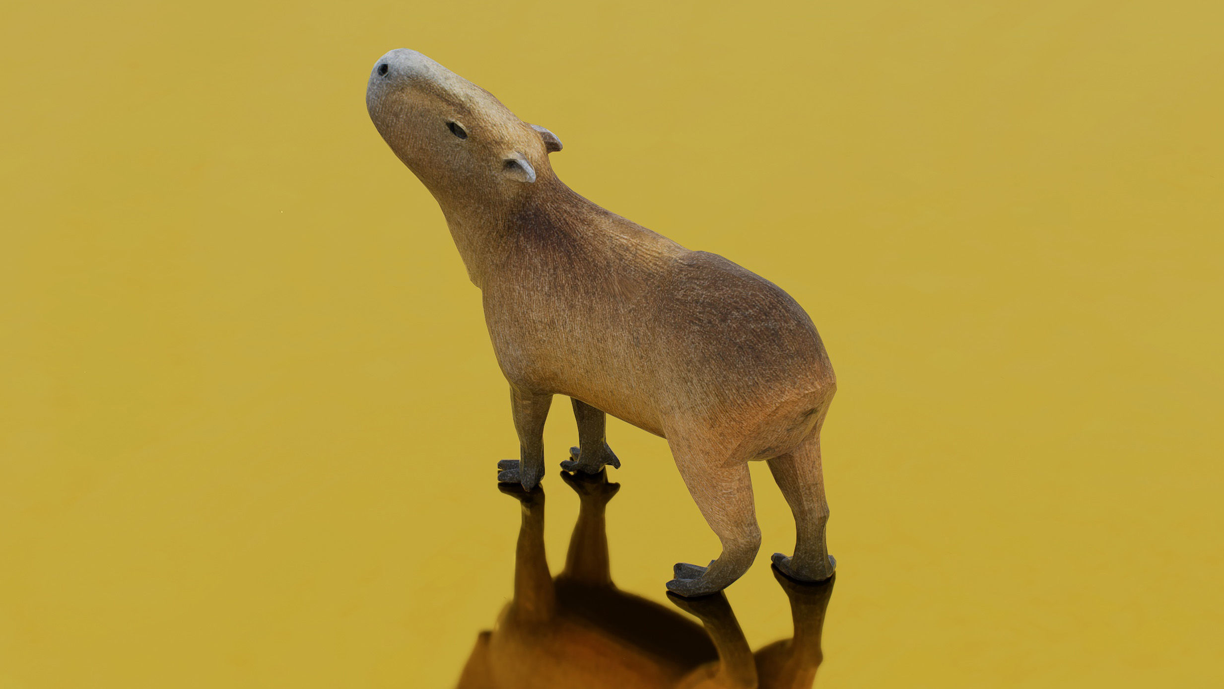 Capybara Low-poly 3D model_1