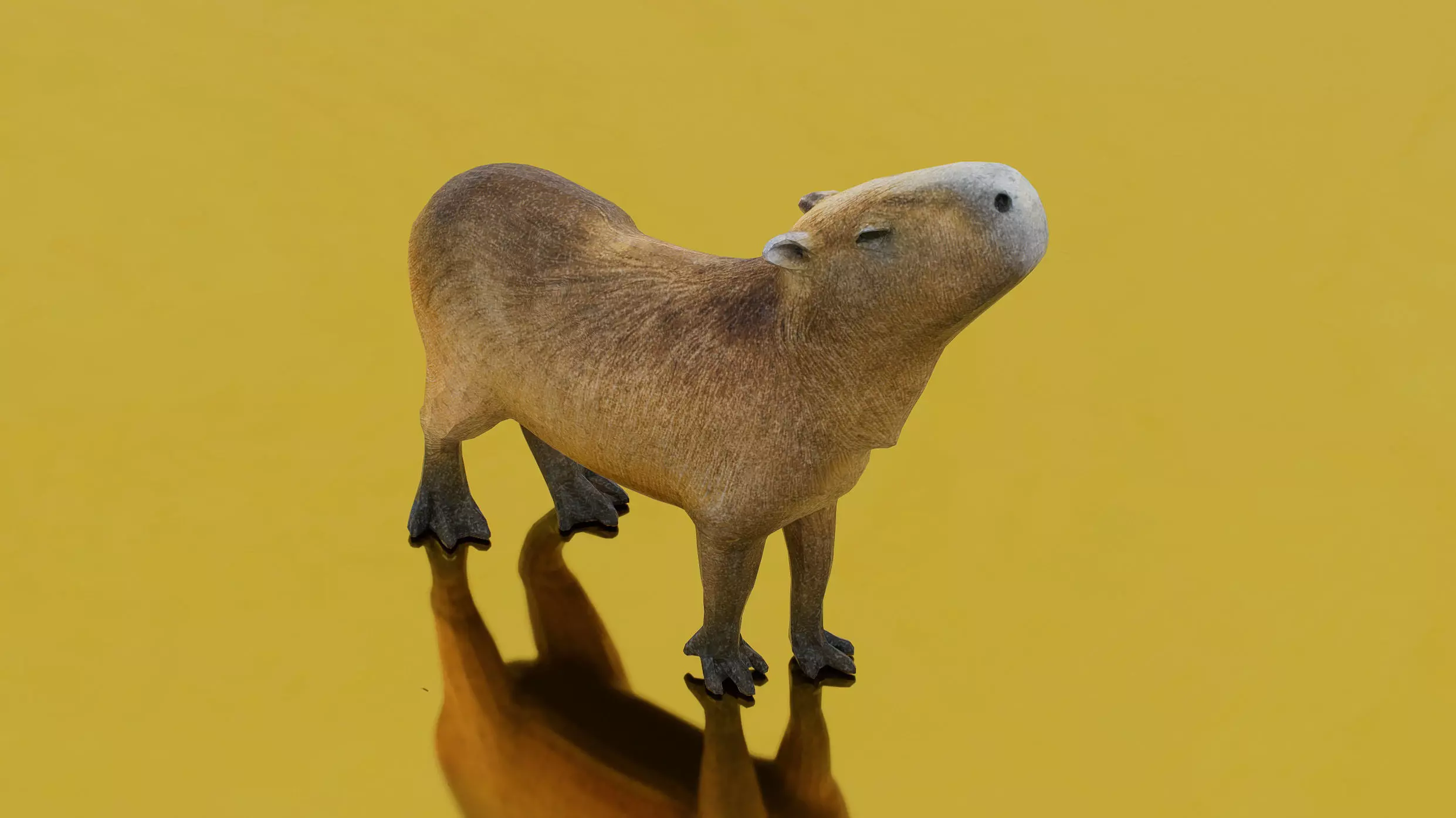 Capybara Low-poly 3D model_0