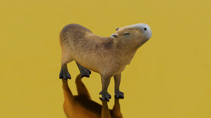 Capybara Low-poly 3D model