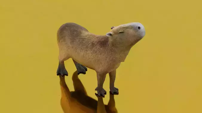 Capybara Low-poly 3D model