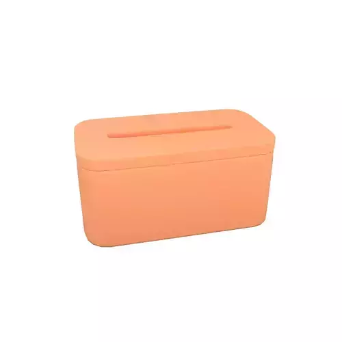 Tissue Box v1 001