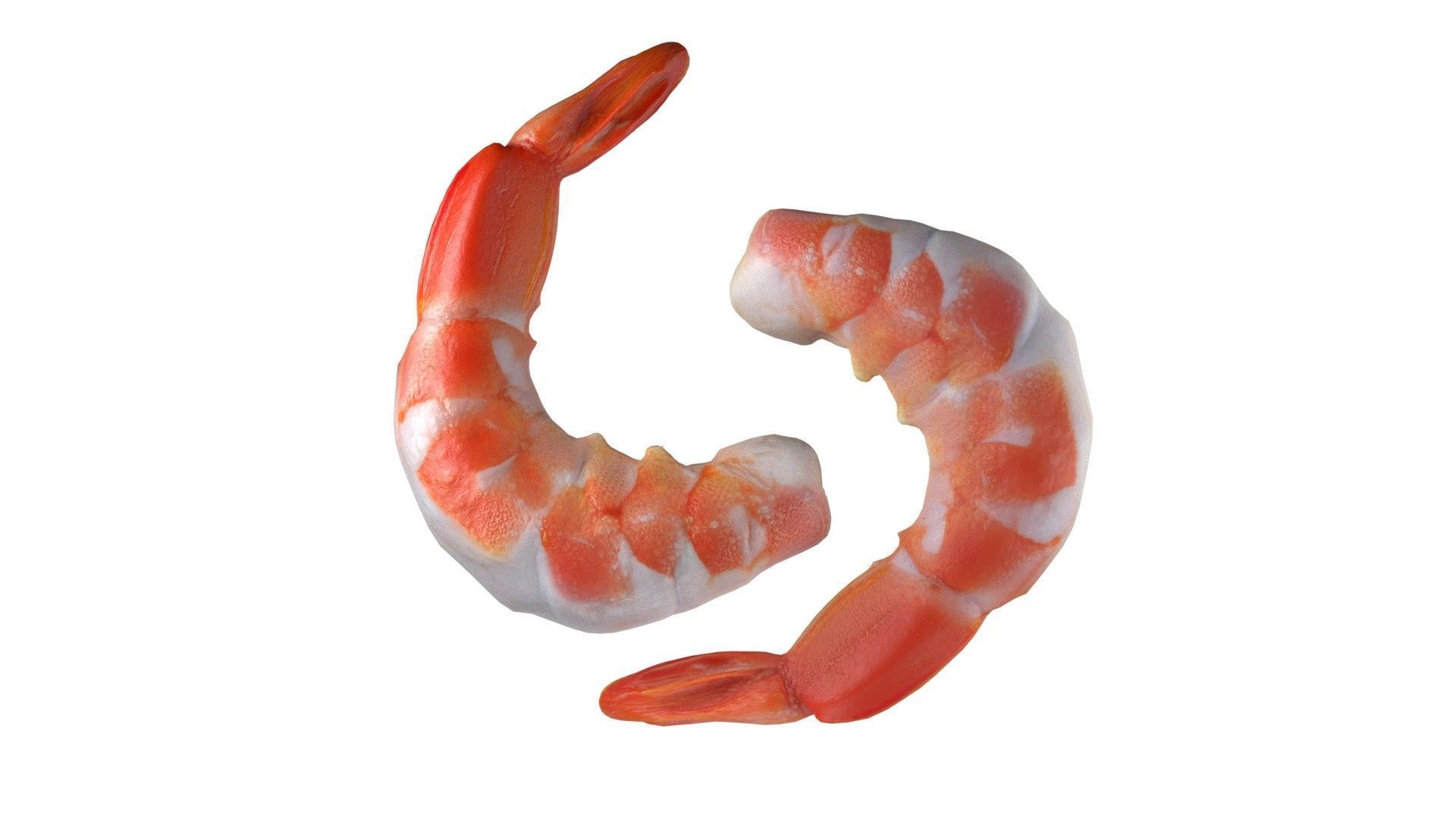 Shrimp food Low-poly 3D model_3