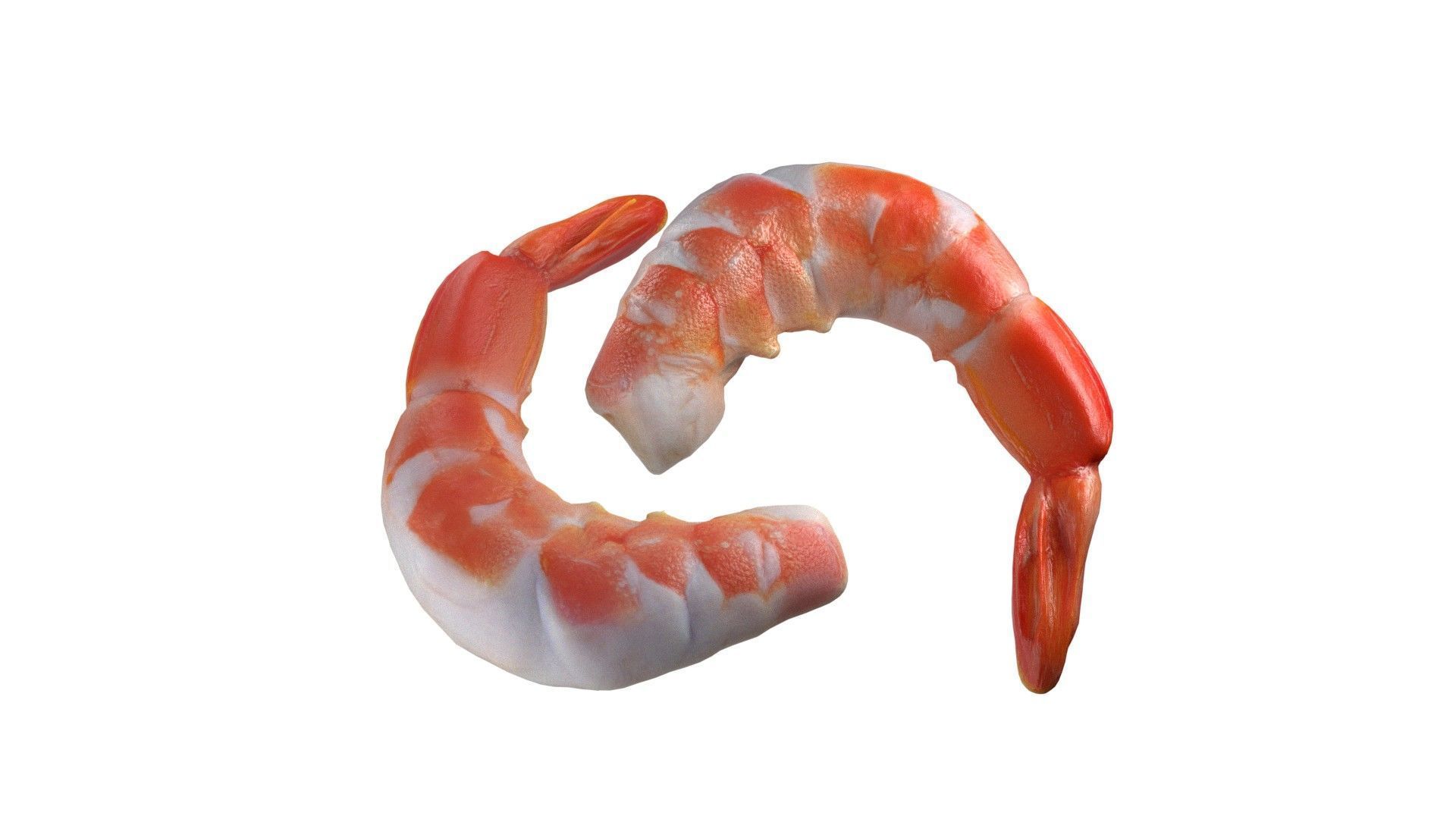 Shrimp food Low-poly 3D model_1