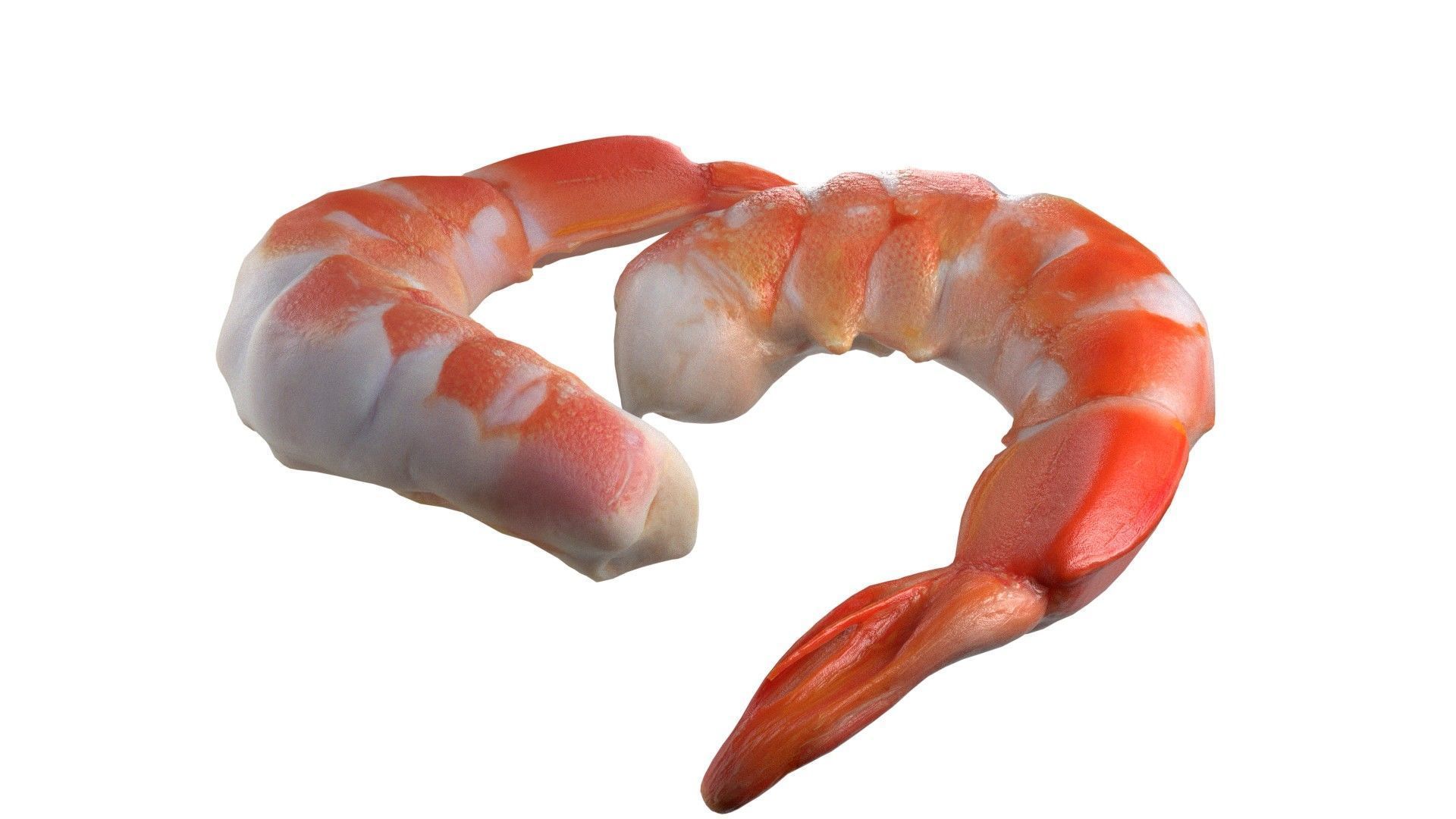 Shrimp food Low-poly 3D model_4