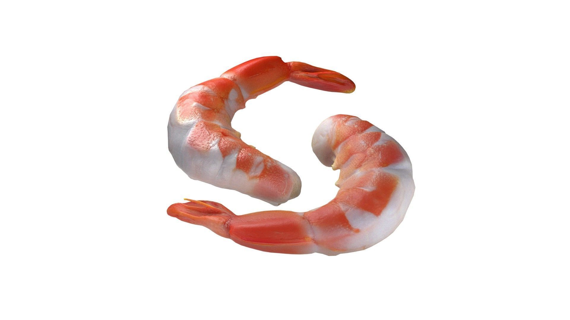 Shrimp food Low-poly 3D model_2