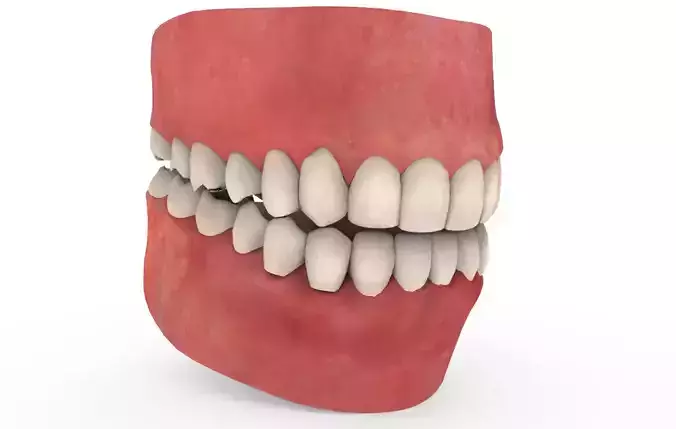 Teeth Animation