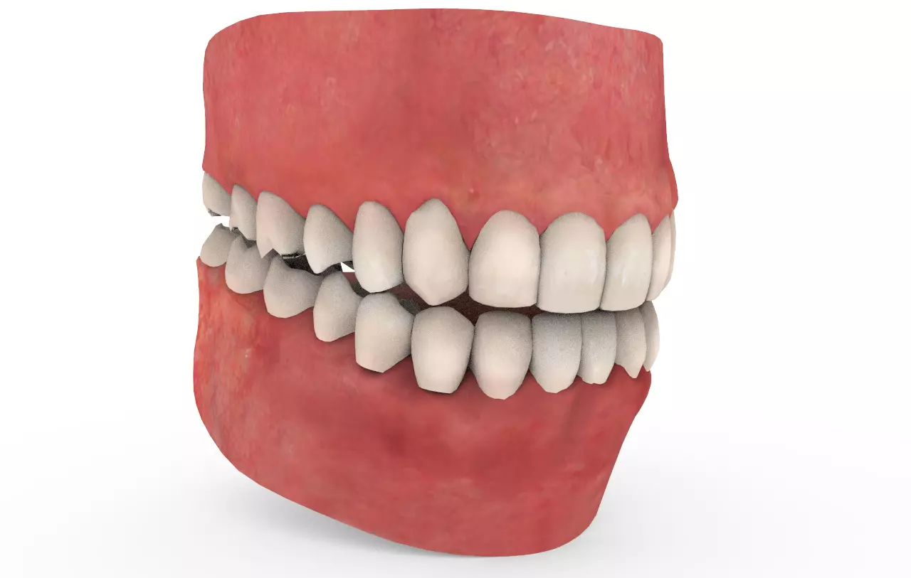 Teeth Animation 3D model_0