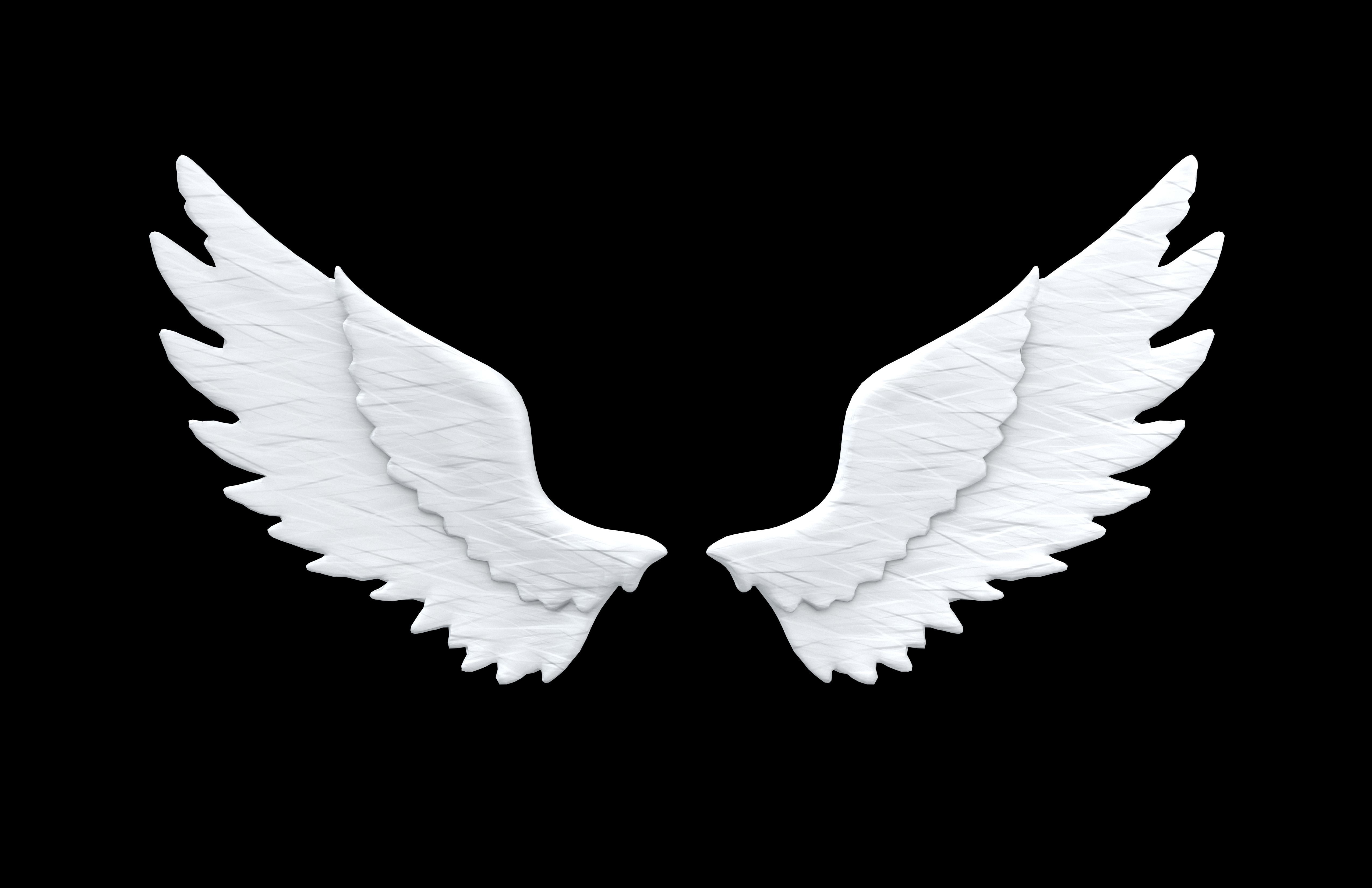 Angel Wings v1 001 Low-poly 3D model_1