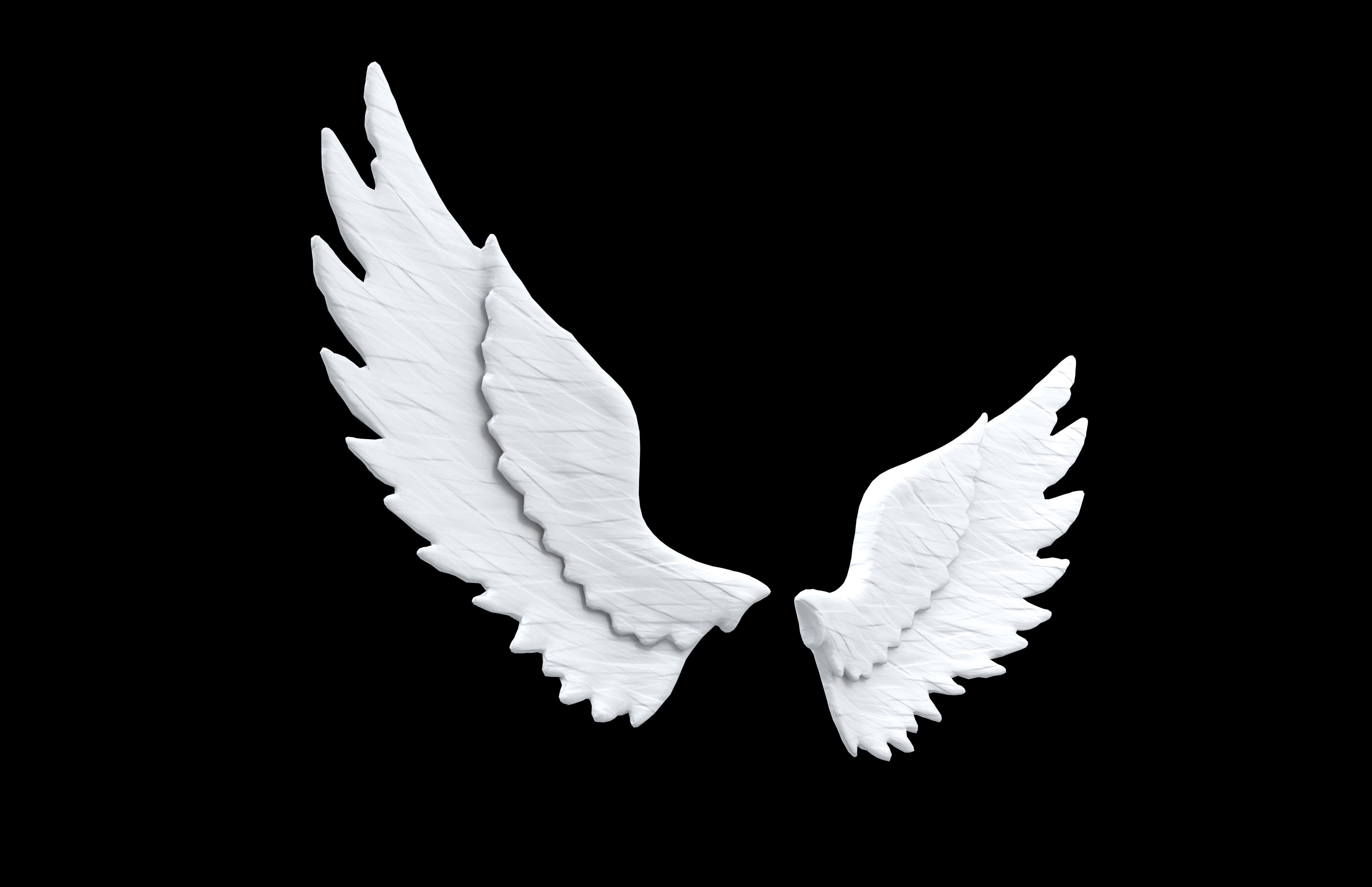 Angel Wings v1 001 Low-poly 3D model_3