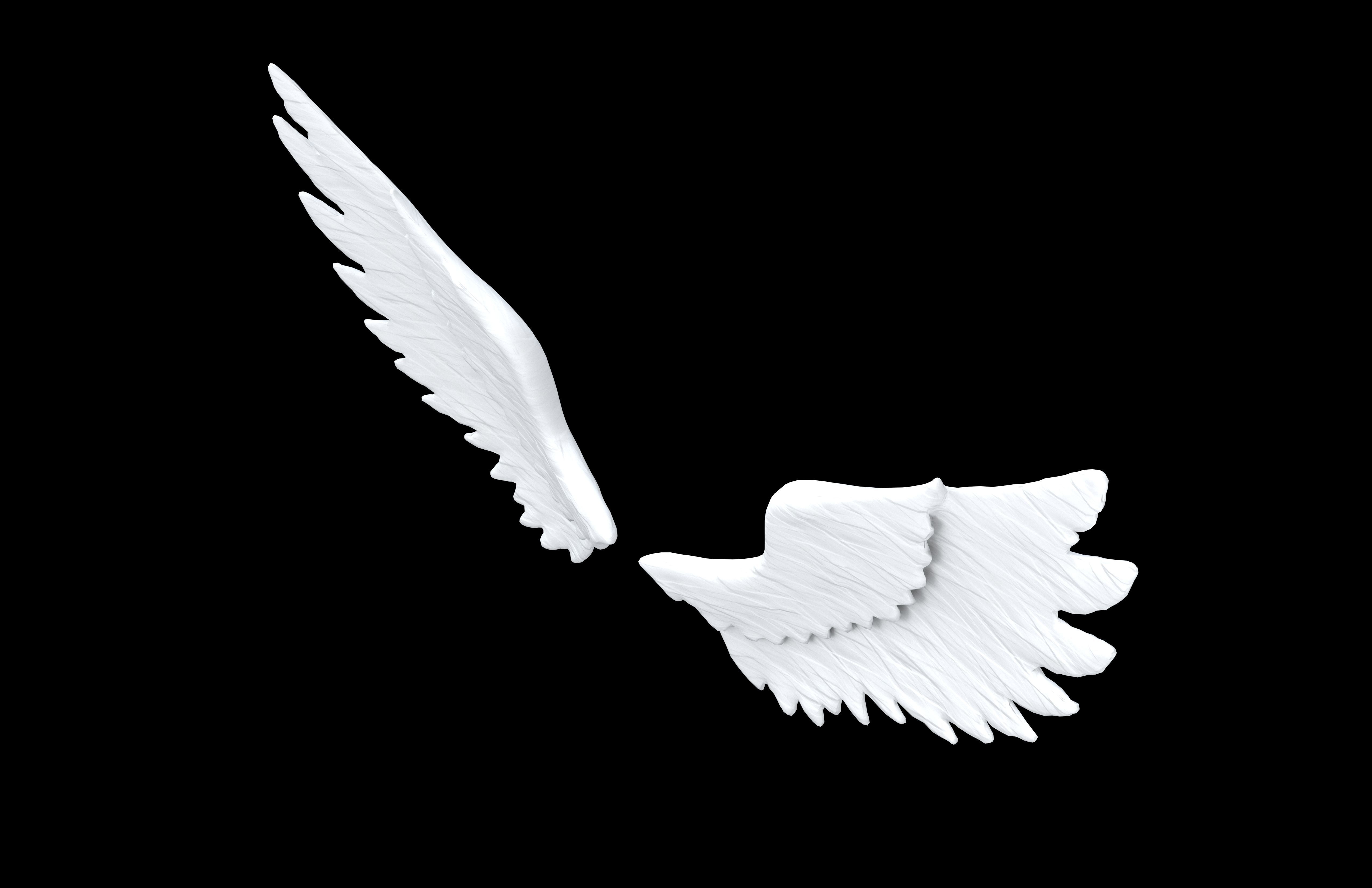 Angel Wings v1 001 Low-poly 3D model_2