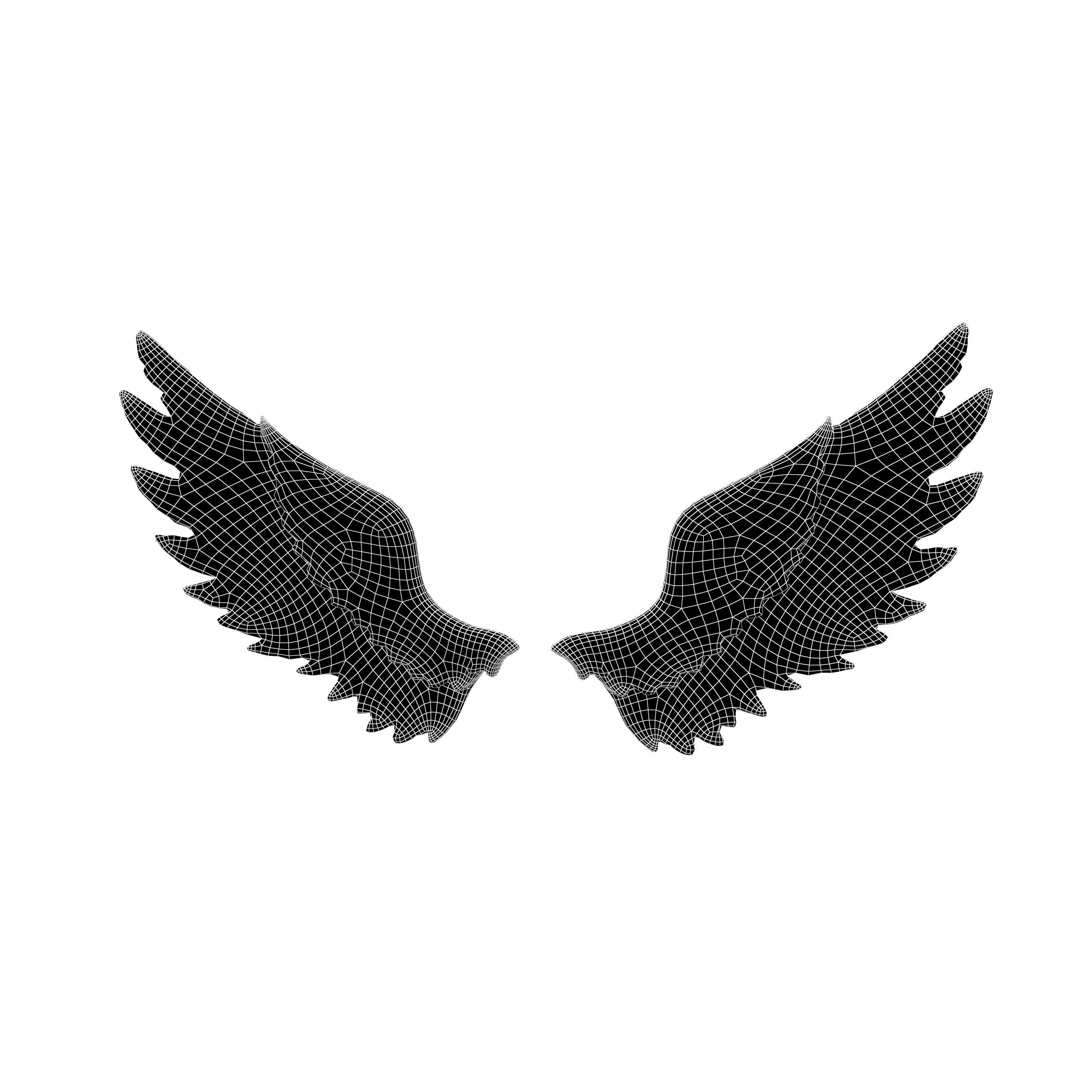 Angel Wings v1 002 Low-poly 3D model_5