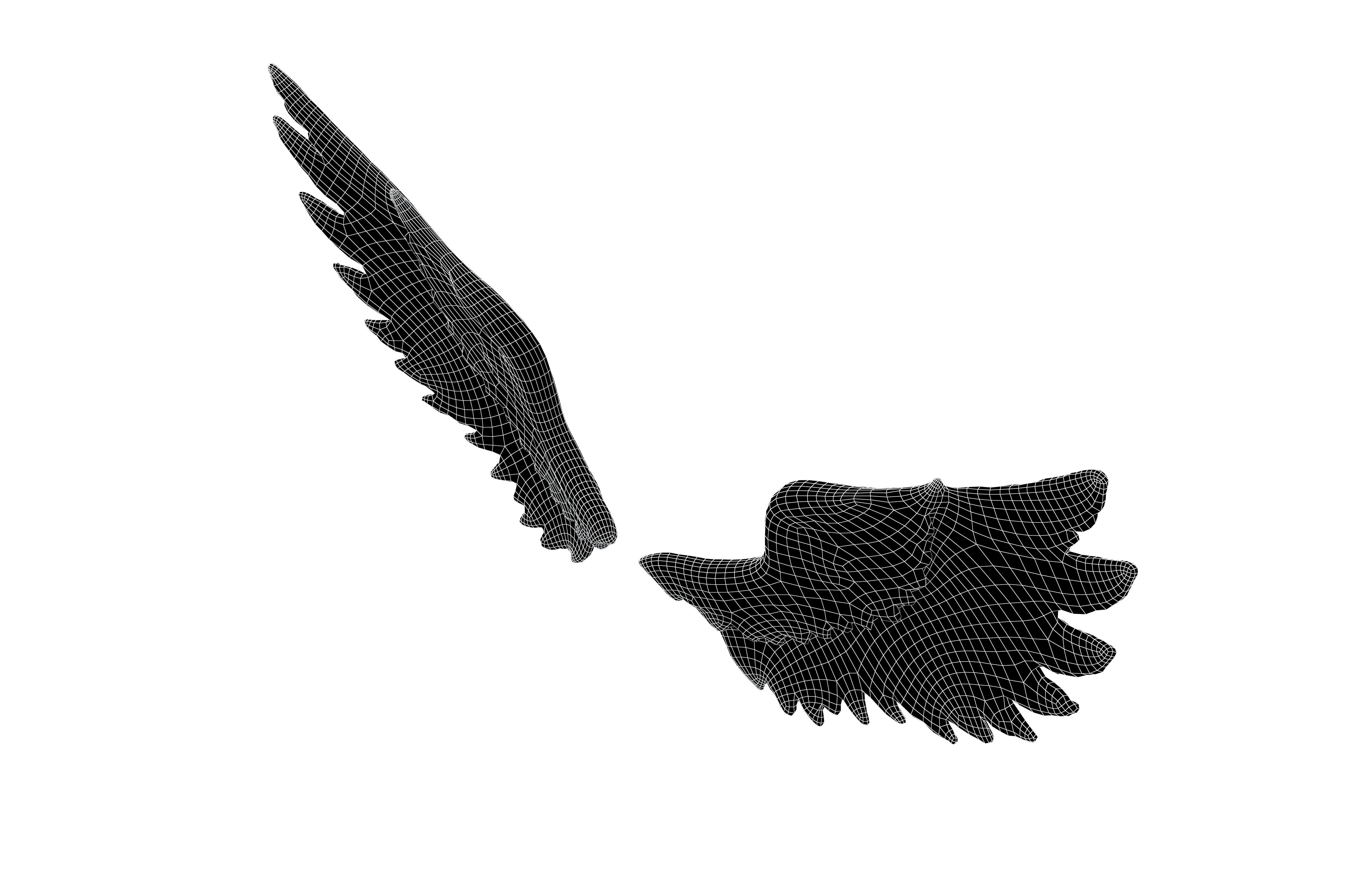 Angel Wings v1 003 Low-poly 3D model_7