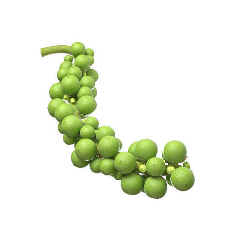 Fresh green peppercorn  Low-poly 3D model