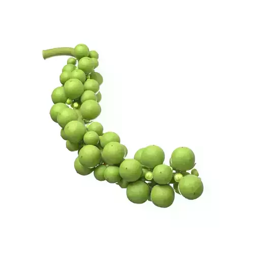 Fresh green peppercorn 