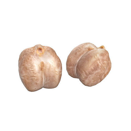 Garbanzo beans    Low-poly 3D model