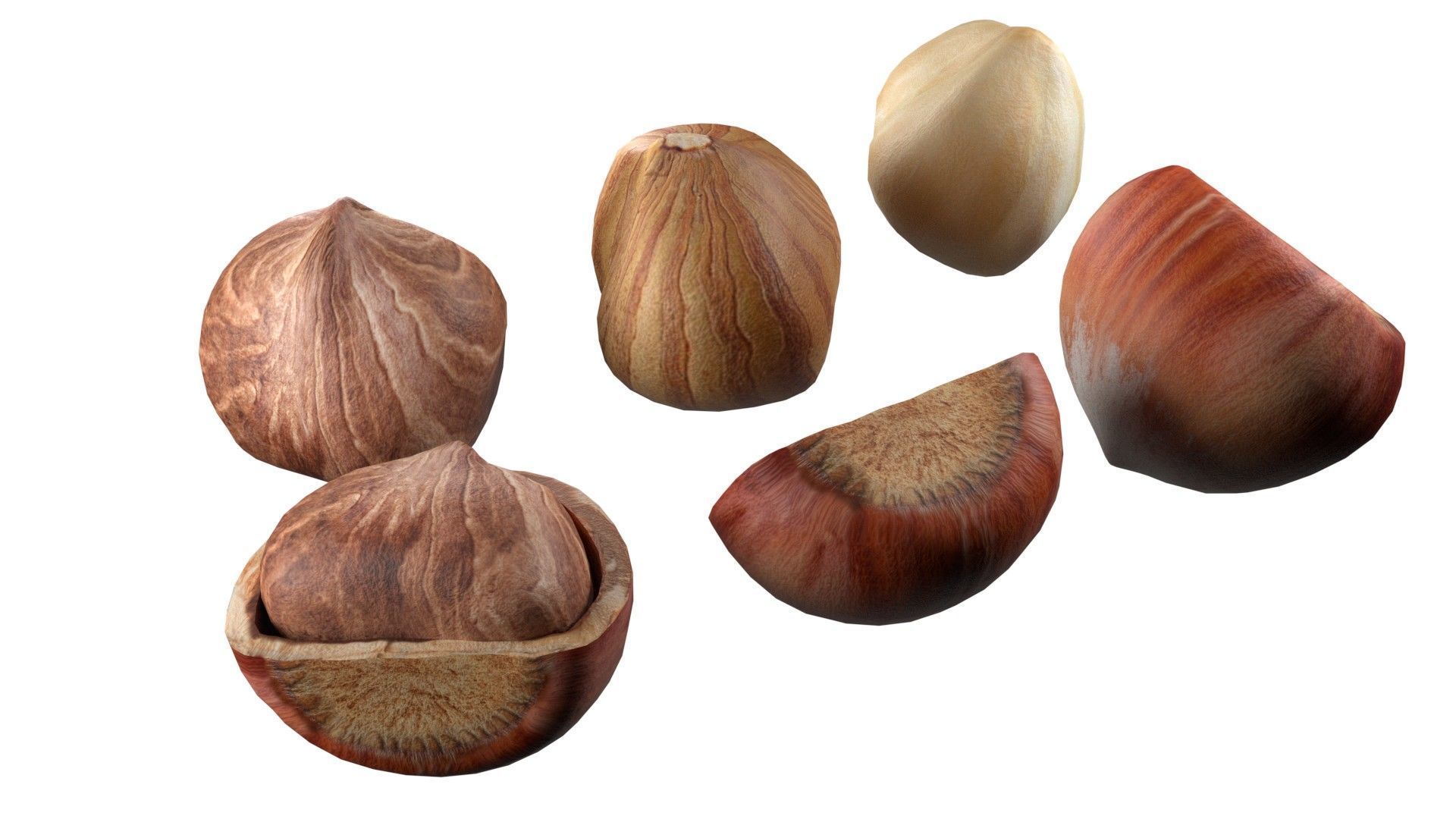 Hazelnut collection  Low-poly 3D model_4