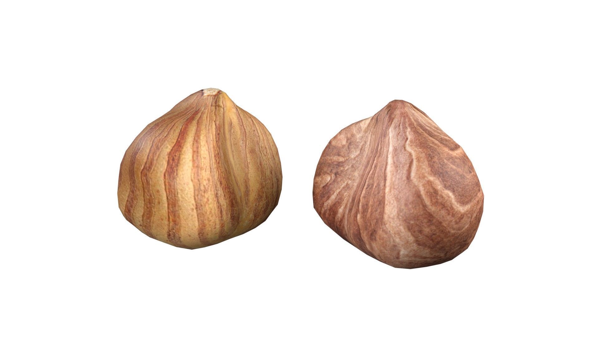 Hazelnut collection  Low-poly 3D model_9