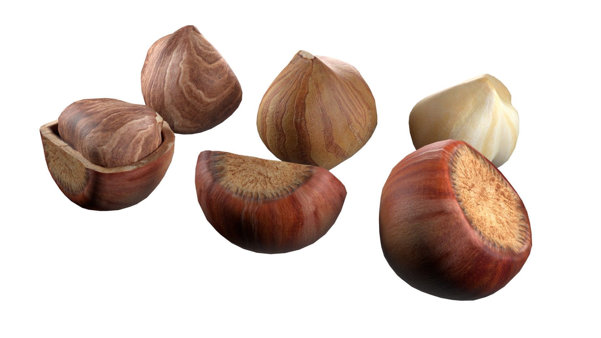 Hazelnut collection  Low-poly 3D model_3