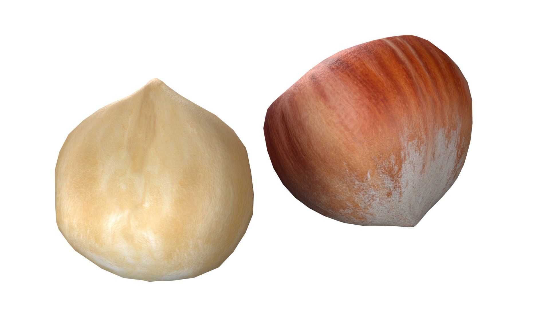 Hazelnut collection  Low-poly 3D model_7