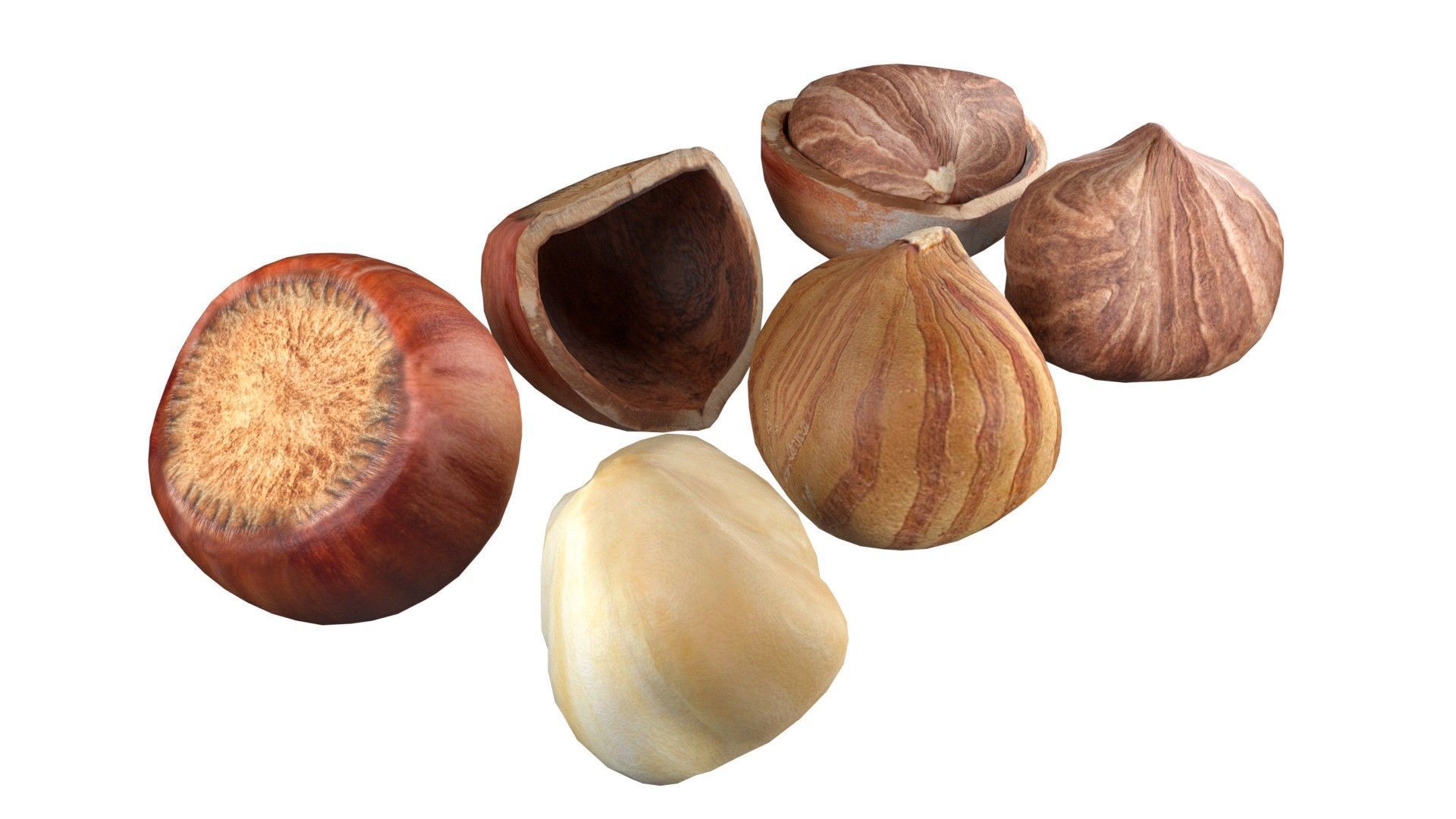 Hazelnut collection  Low-poly 3D model_2